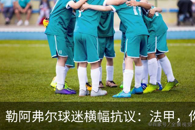 勒阿弗尔球迷横幅抗议：法甲，你是在惩罚我们吗？