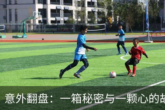 意外翻盘：一箱秘密与一颗心的故事