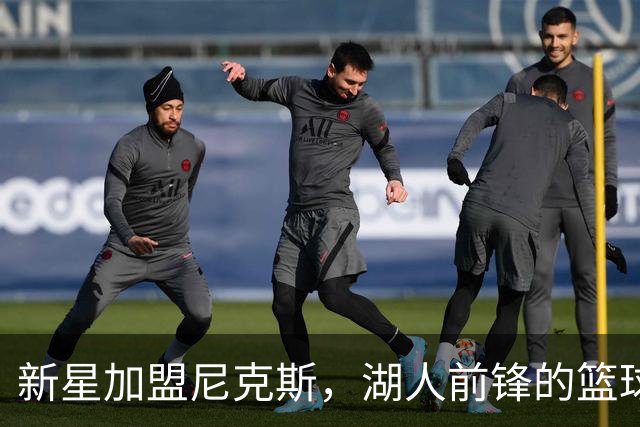 新星加盟尼克斯，湖人前锋的篮球奇遇记！