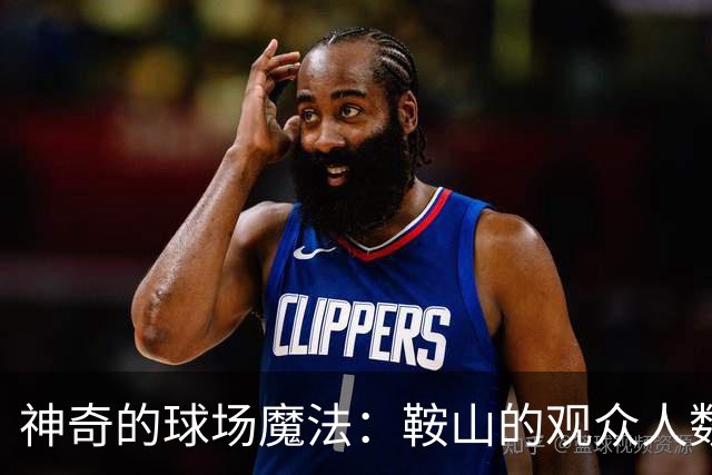 神奇的球场魔法：鞍山的观众人数创下新高