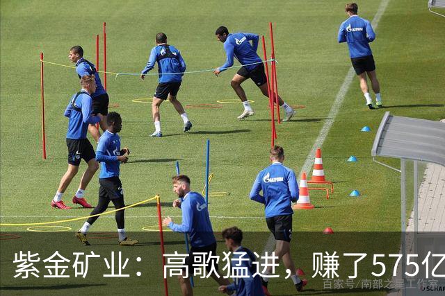 紫金矿业：高歌猛进，赚了575亿，股价却像坐过山车